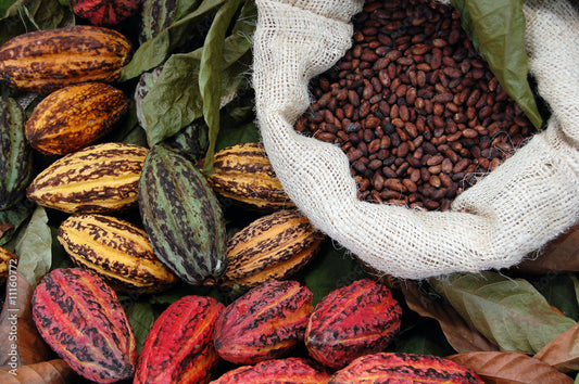 Chocolade & Cacao