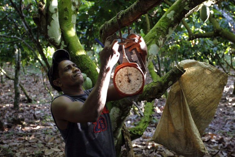40% Tres Hombres Chocolate milk