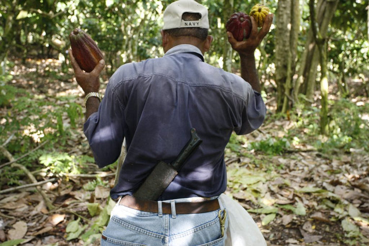 75% Tres Hombres Chocolade pure
