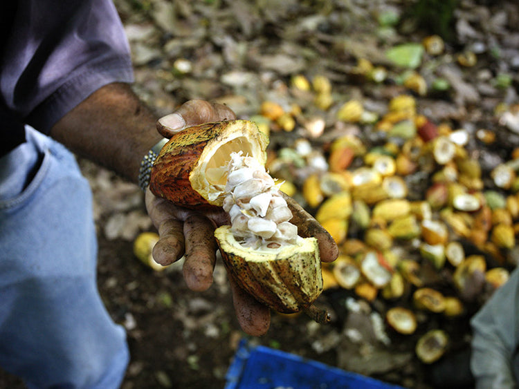 40% Tres Hombres Chocolate milk