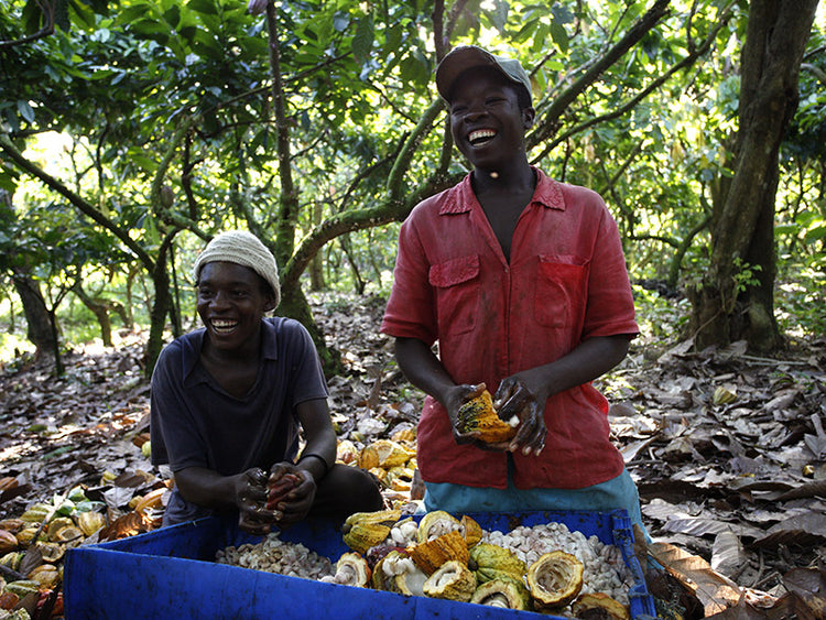 75% Tres Hombres Chocolade pure