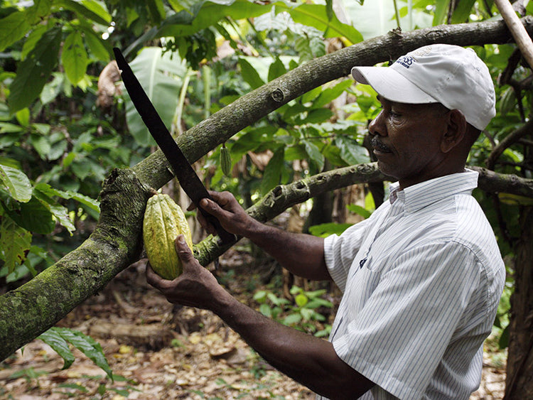 40% Tres Hombres Chocolate milk