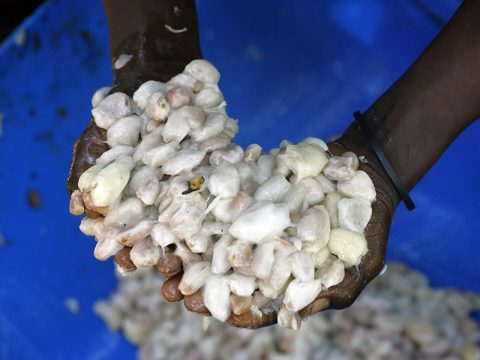 75% Tres Hombres Chocolade pure