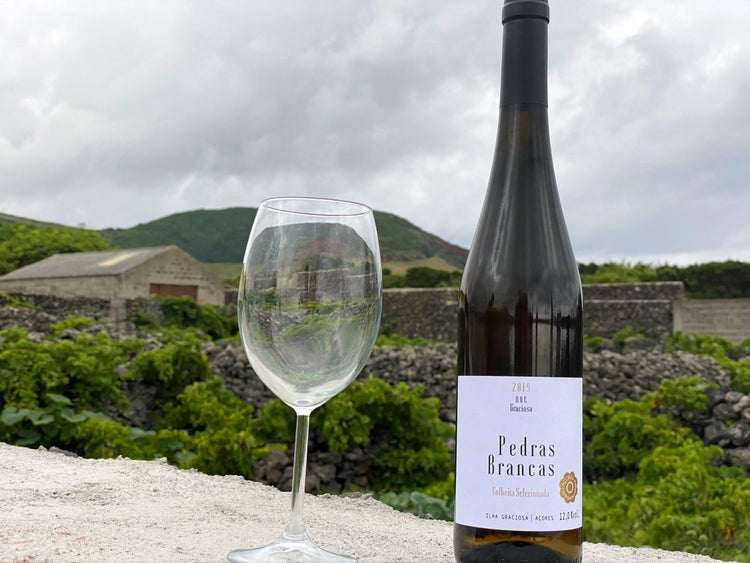 Portuguese White Wine Pedras Brancas Colheita Selecionada